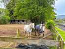 Neighbours