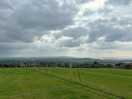 The view