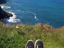 Seal spotting on cliffs at st agnes beach