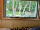 Window looking into woods from bed