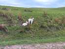 Farm