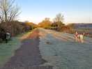 A great secure dog walk