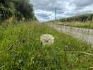 Countryside walk