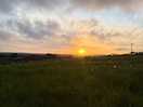 Garris farm
