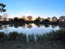 Around the fishing lake at sundown