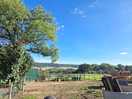 Allotment area