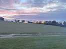 Beautiful skies