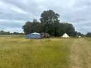 The field
