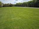 Entrance field