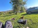 Visit from the chickens at breakfast