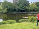 The river
