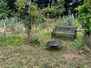 Love this romantic bench
