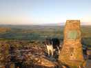 Top of high wheeldon