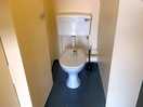 Loos 3