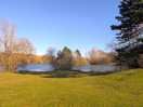 Tone of the lakes.