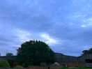 Beautiful evening hundreds of birds