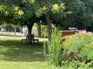 Campsite surrounding