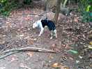 In the woods