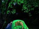 Tent lit up in green, under tree.