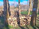 Logs