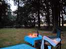 Perfect evening in nature