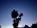 Night walk