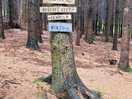 Cool signposts