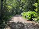 Lovely walks