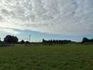 Lovely clouds