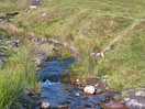 Stream