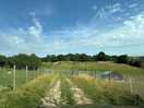 A view over the animal enclosures