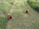 My newly made pals