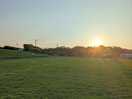 Sunrise