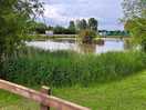 Beautiful fishing lake