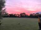 Beautiful skies at night