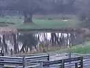 The lake
