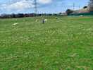 Public footpath field