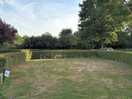 Pitch
