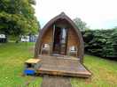 Lovely pod x
