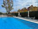 The pool