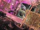 Covered beer garden