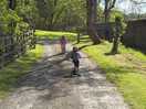 Walk to the main camp and play area