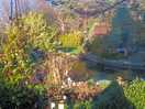 Mill cottage