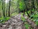 Nearby walk