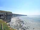 Within a 15mins walk from the site