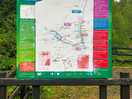 Local hiking trails to explore