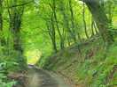 The road in and out.