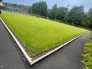 Brilliant bowling green we really enjoyed this!