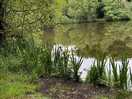 Small lake