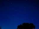 View of the stars from the campsite